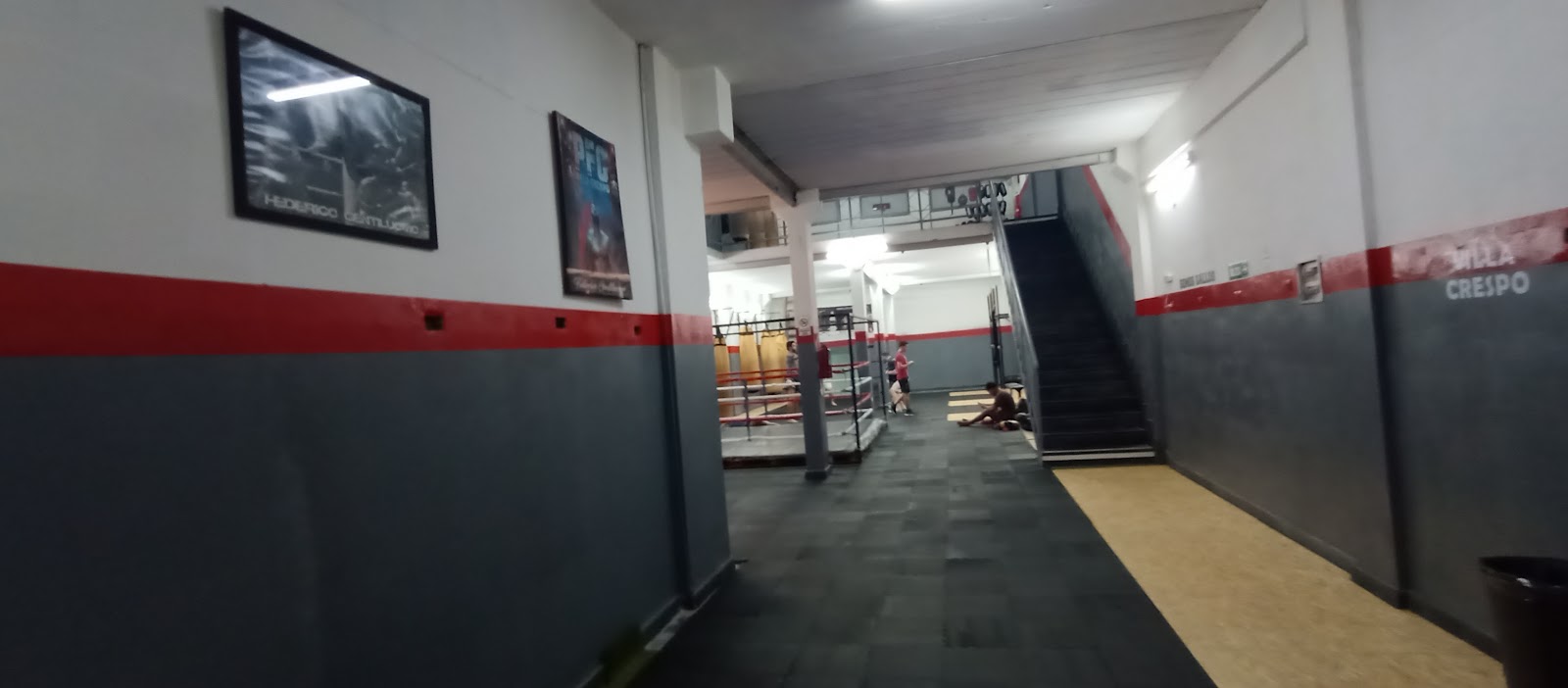 Inside the MMA cage during training