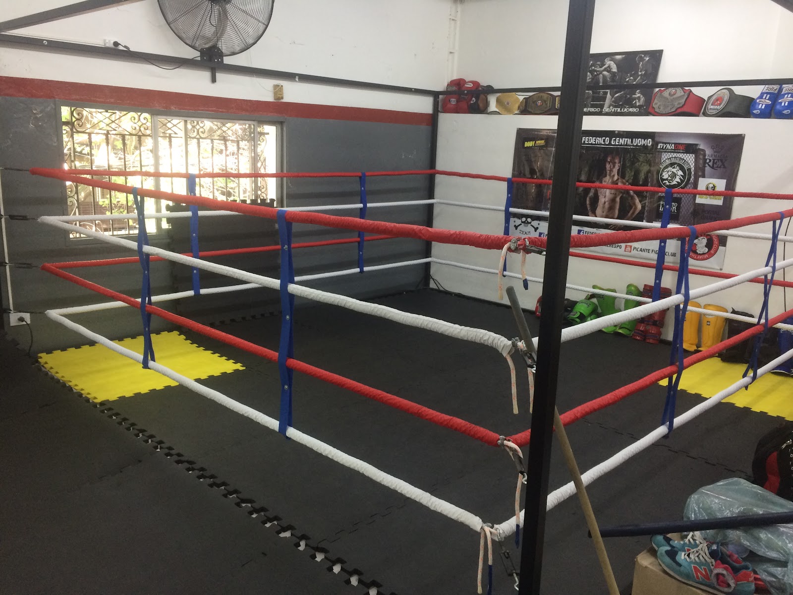 Strength and conditioning weights